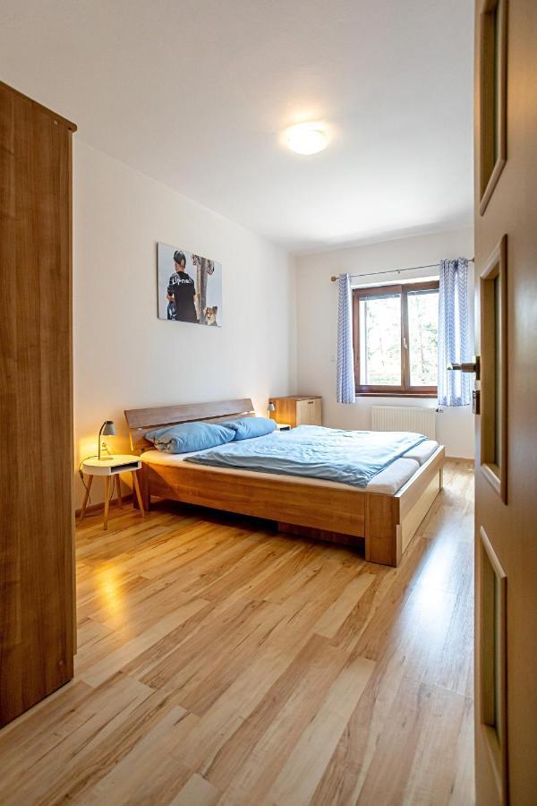 Apartman Lipno 50/18 Липно-над-Влтавой Экстерьер фото